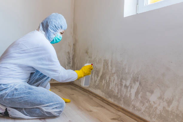 Commercial Mold Remediation assessment for commercial property in Hudson